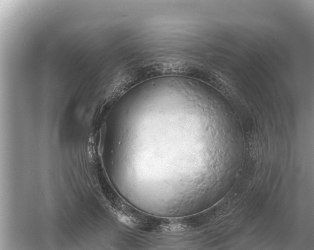 X0000060560695200511101604