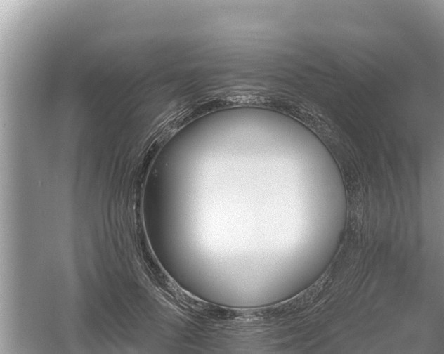 X0000060560696200511101604