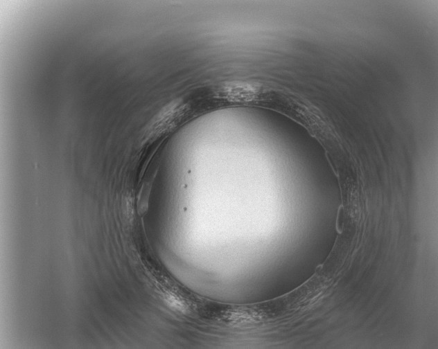 X0000060560697200511101604