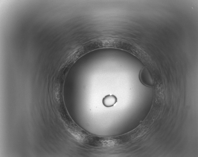 X0000060560698200511101604