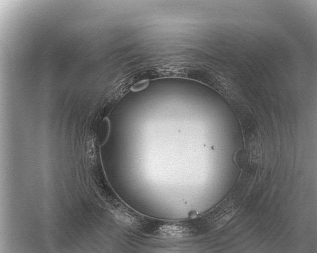 X0000060560699200511101604