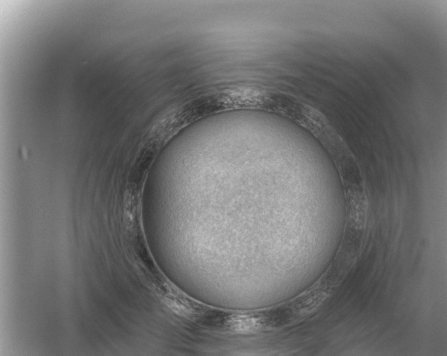 X0000060560701200511101604