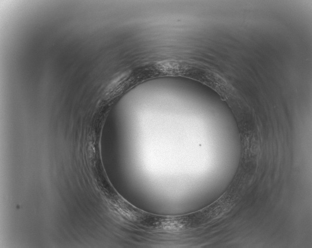 X0000060560702200511101604