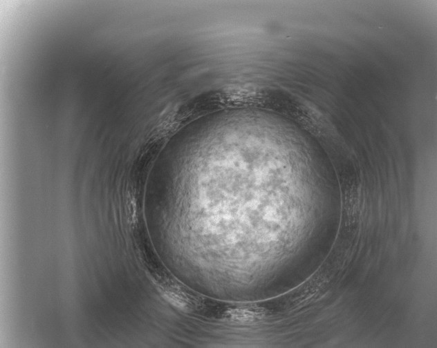 X0000060560703200511101603