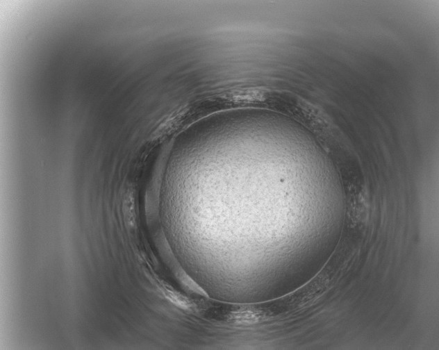 X0000060560704200511101603