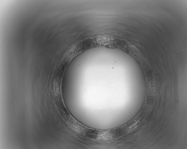 X0000060560705200511101603