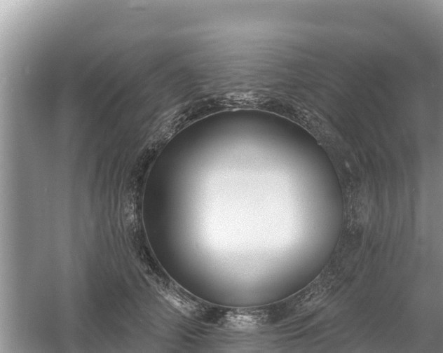 X0000060560706200511101603