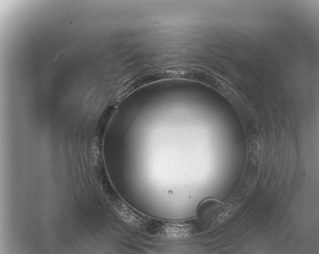 X0000060560707200511101603