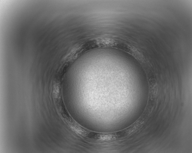 X0000060560709200511101603