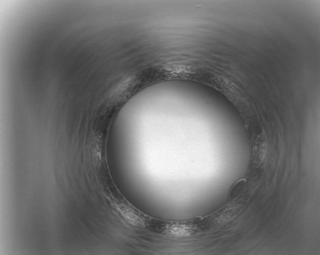 X0000060560710200511101603