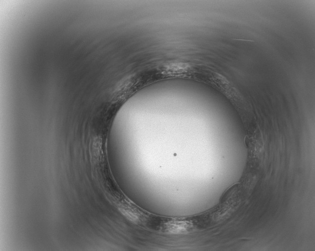 X0000060560711200511101603