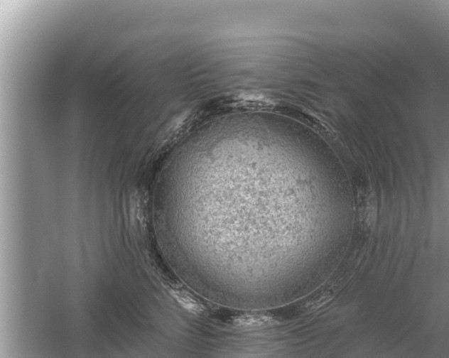 X0000060560712200511101603