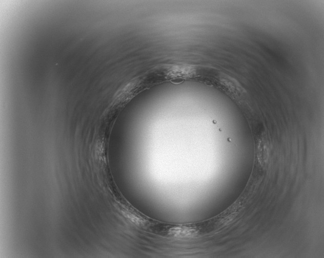 X0000060560714200511101603