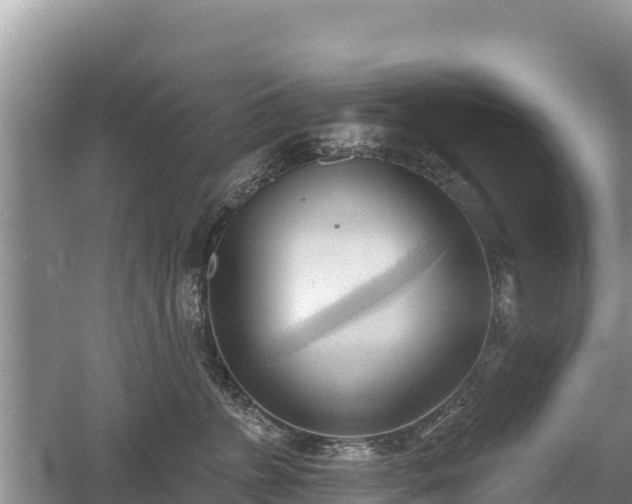 X0000060560715200511101603