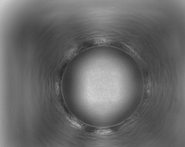 X0000060560716200511101603