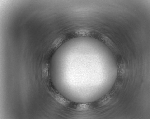 X0000060560717200511101603