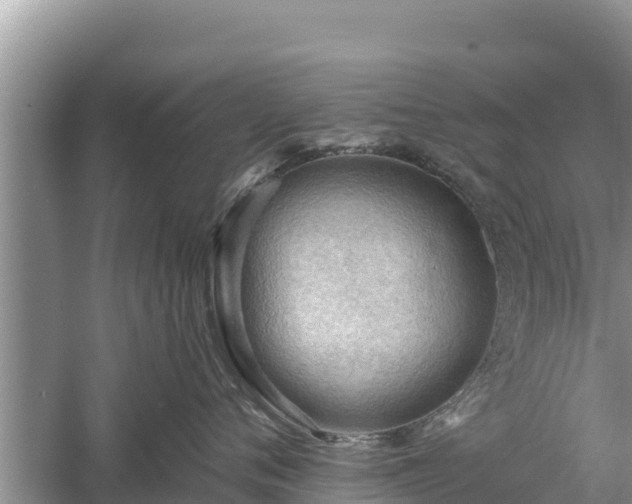 X0000060560720200511101603