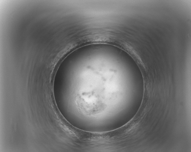 X0000060560721200511101602