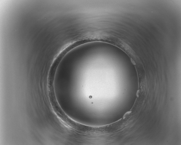 X0000060560722200511101602