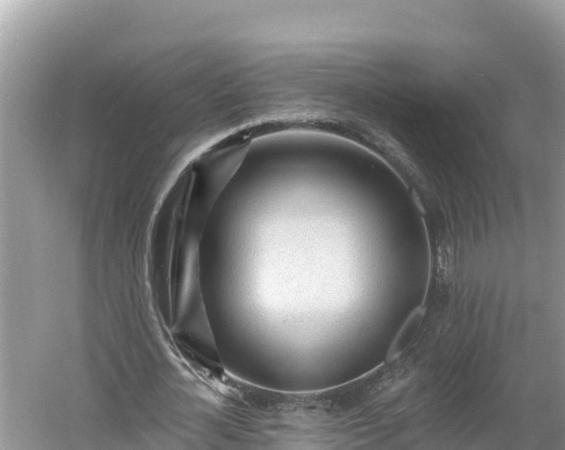 X0000060560724200511101602