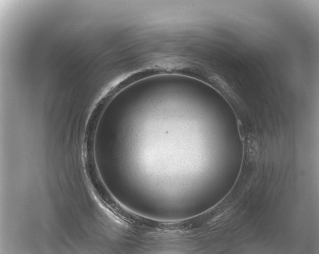 X0000060560726200511101602