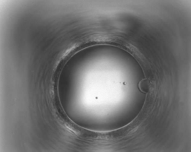 X0000060560727200511101602