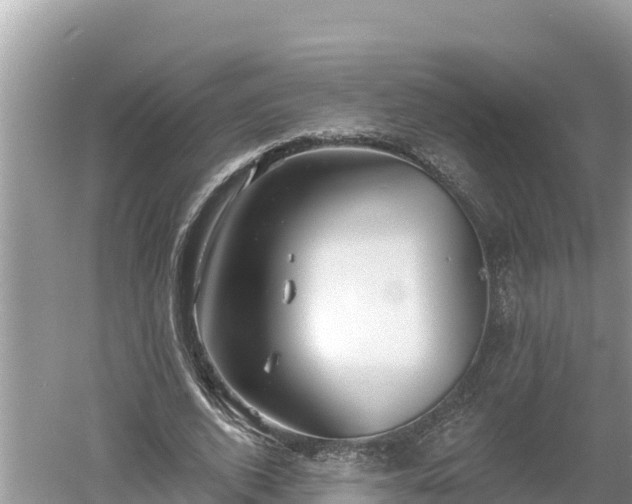 X0000060560728200511101603