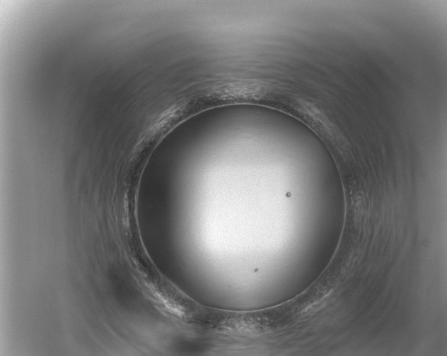 X0000060560729200511101603