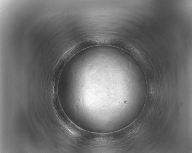 X0000060560733200511101603