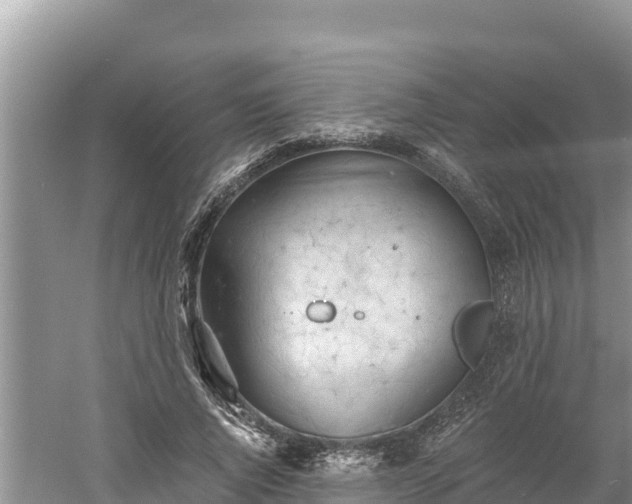 X0000060560736200511101603