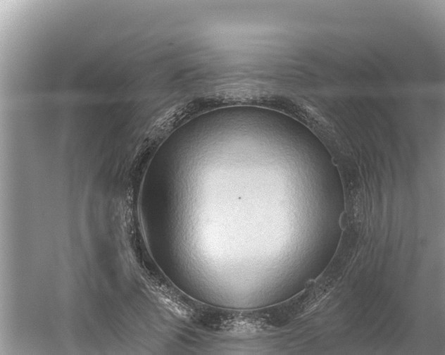 X0000060560737200511101603