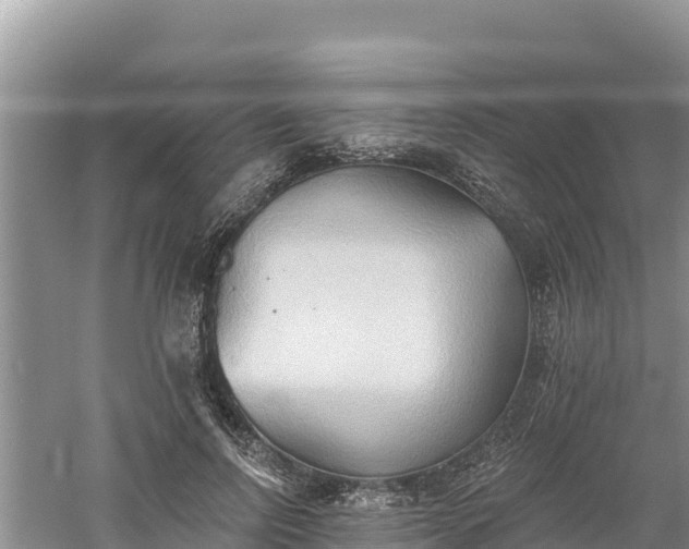 X0000060560742200511101603