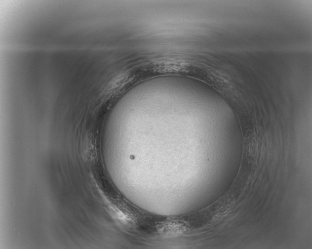 X0000060560743200511101603