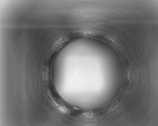 X0000060560744200511101603