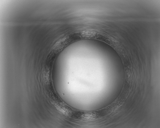 X0000060560745200511101603