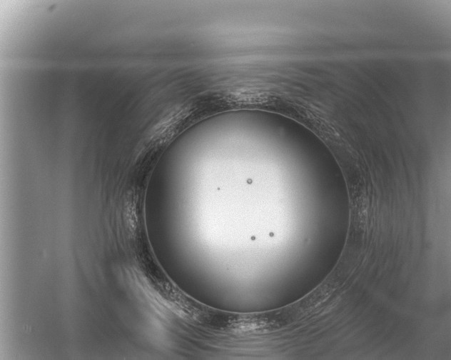 X0000060560746200511101603