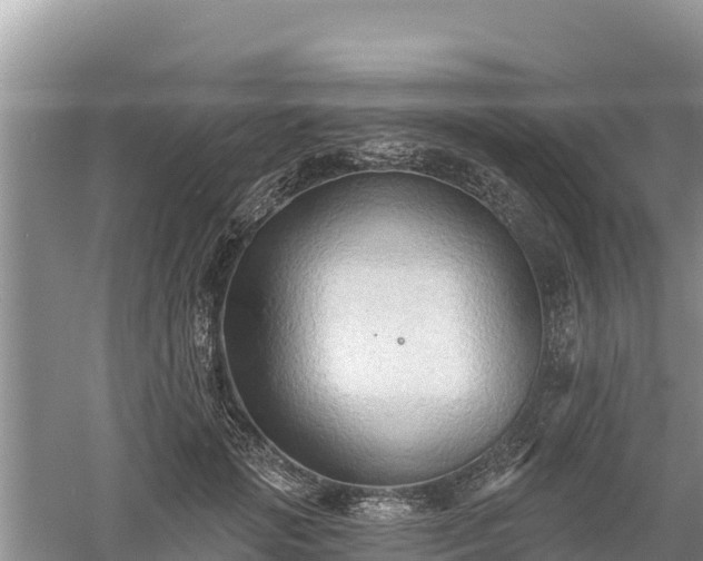 X0000060560749200511101603