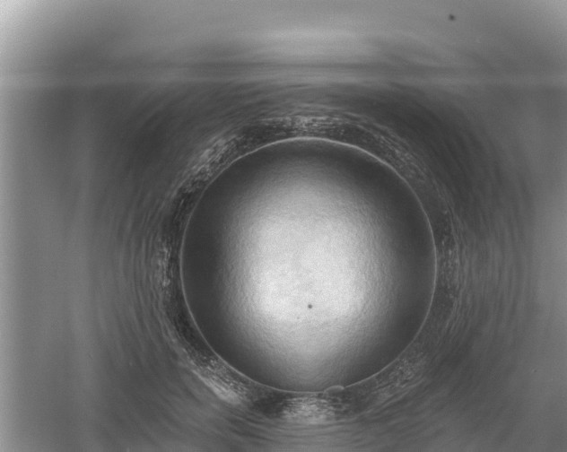 X0000060560750200511101603