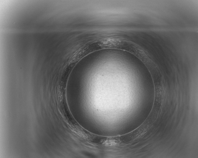 X0000060560751200511101603