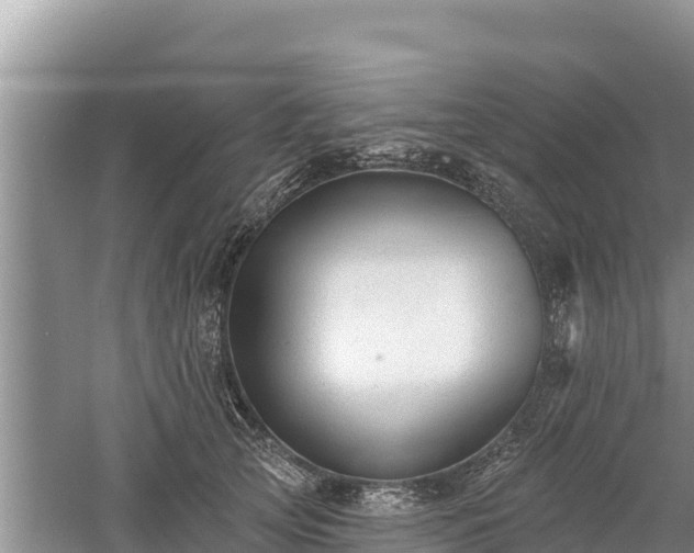 X0000060560753200511101603