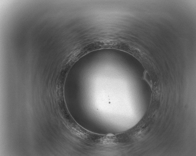 X0000060560756200511101603