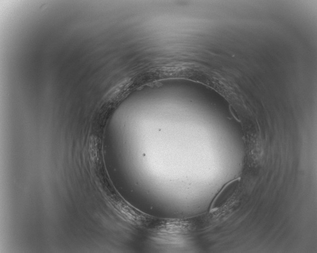 X0000060560758200511101603