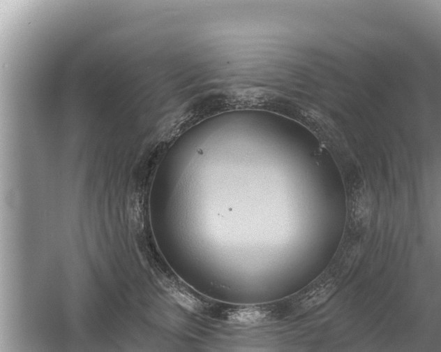 X0000060560759200511101603