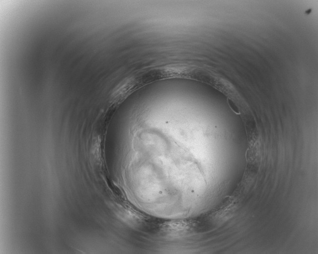 X0000060560765200511101603