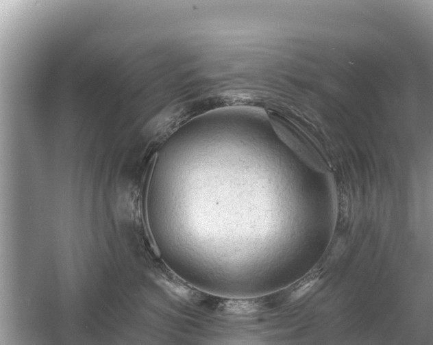 X0000060560766200511101603