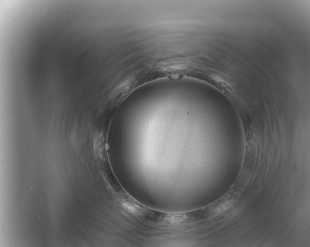 X0000060560767200511101603