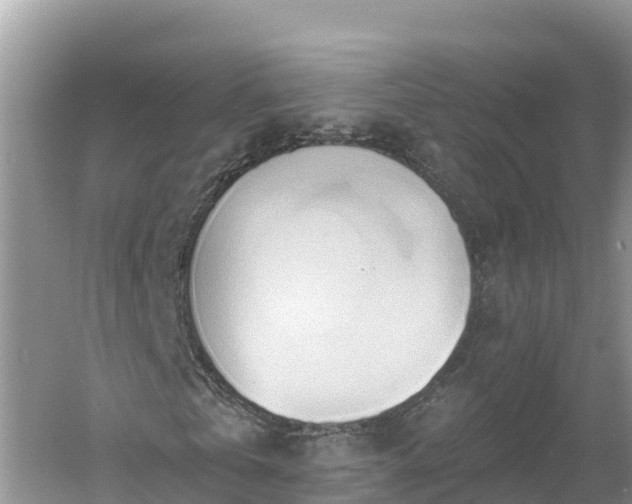 X0000060560769200511101602