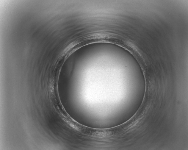 X0000060560778200511101602