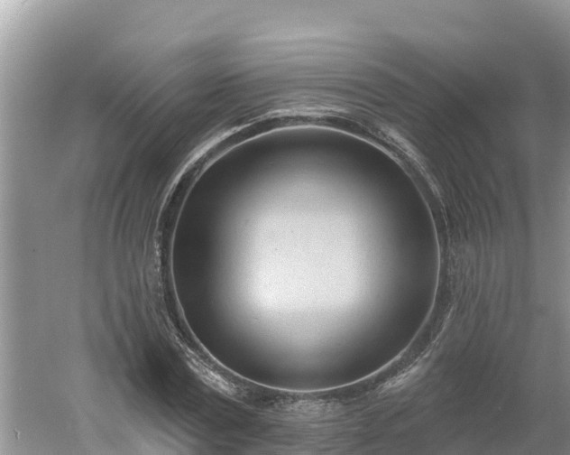 X0000060560779200511101602