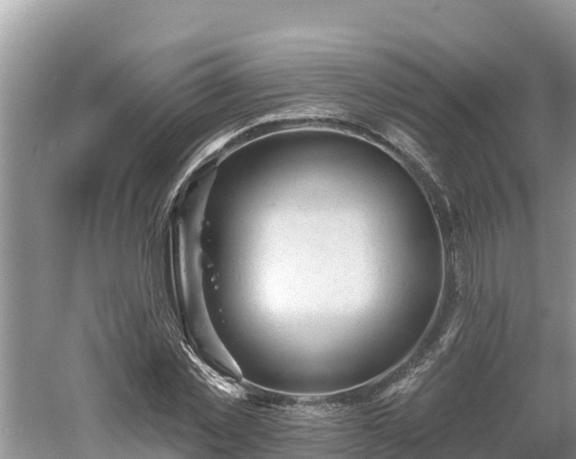 X0000060560781200511101602